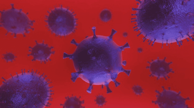 Top 7 Myths vs. Scientific Facts Of Coronavirus (COVID-19)
