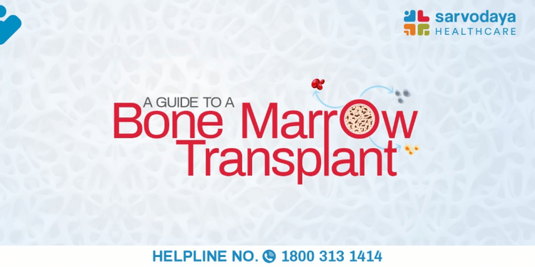 A Guide To A Bone Marrow Transplant