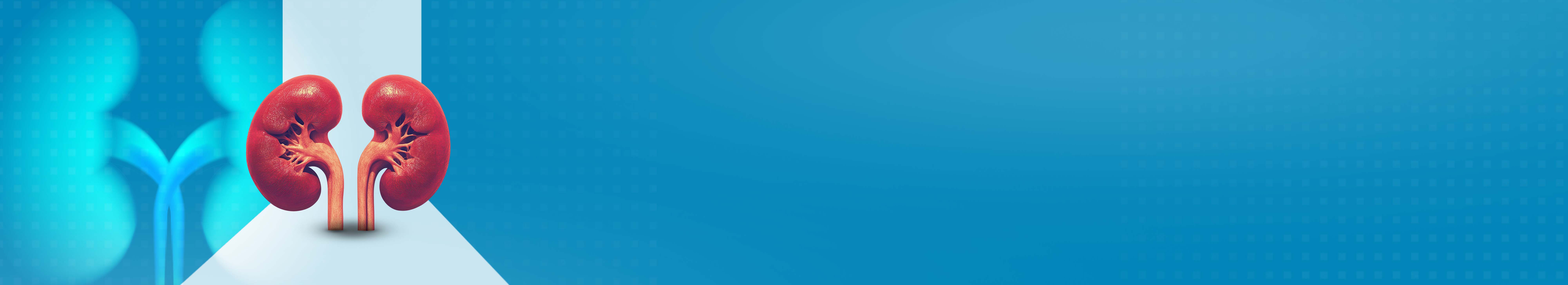 Best Nephrology Hospital in Faridabad, Delhi NCR India