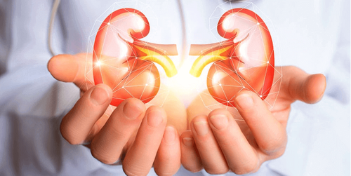 Get Rid Of Kidney Stones With Scarless Laser Treatment