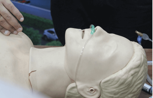 Pediatric Advanced Life Support (PALS) by Dr. Mohit Garg