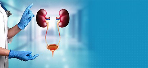 Best Urology Hospital in Faridabad, Delhi NCR